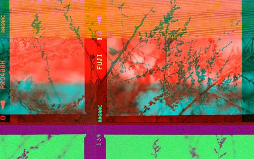 Sample output of image resize endpoint in Imageslot API